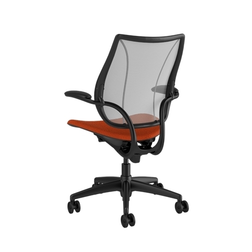 B - Black Frame with Black Trim